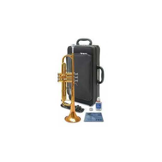 Trompeta Yamaha Sib YTR-4335 lacada