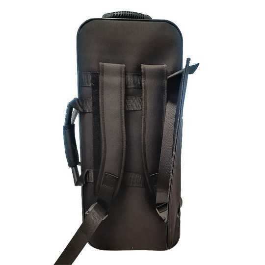 Saxo alto mib Eastman EAS253