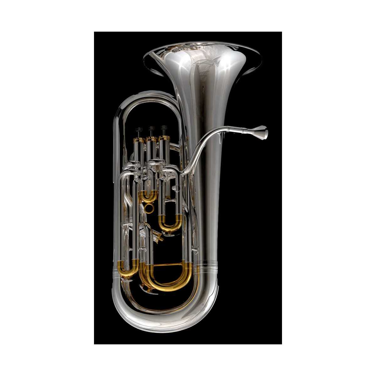 NUEVO Bombardino Wessex EP110 FORTISSIMO Silver Gold