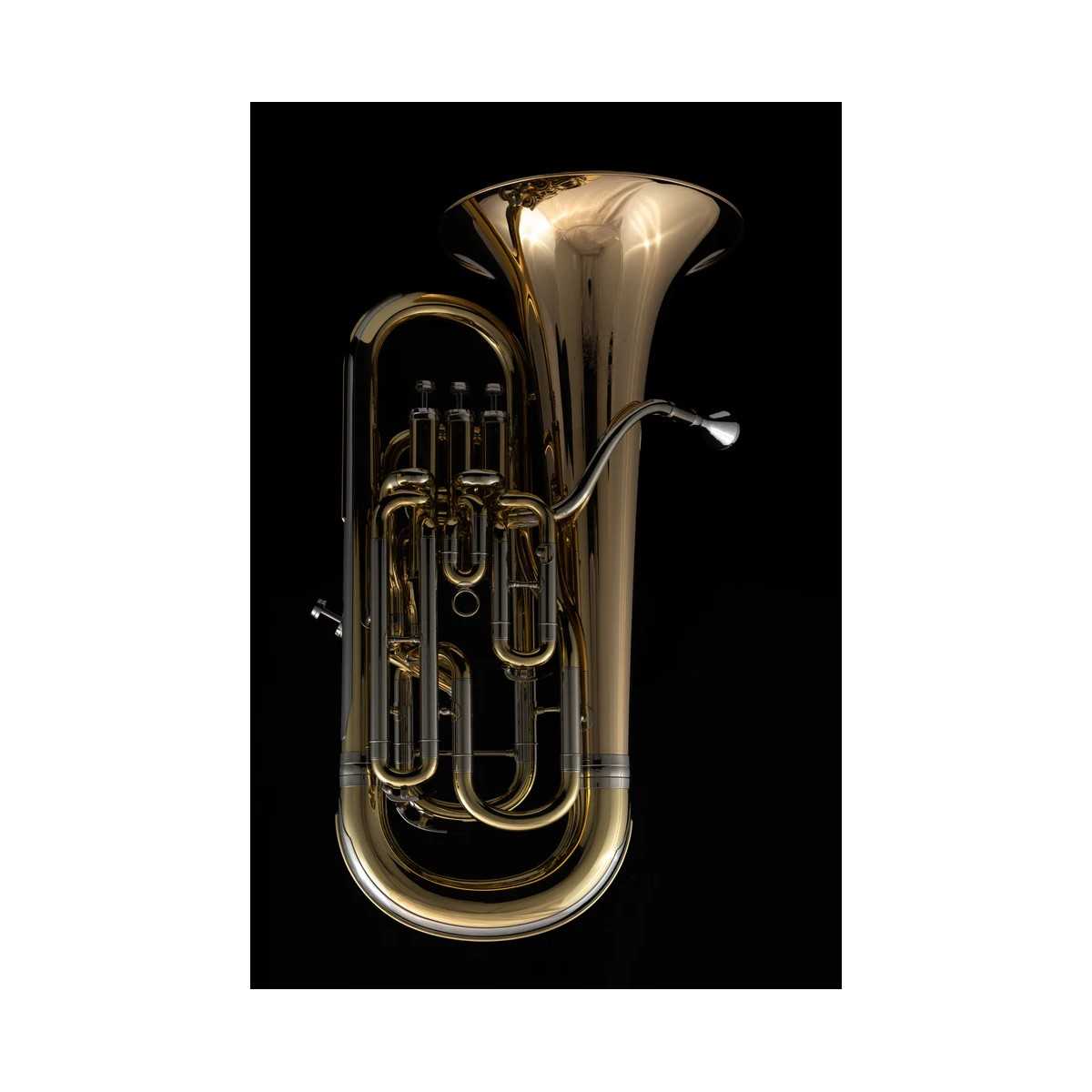 NUEVO Bombardino Wessex EP110 FORTISSIMO LACADO