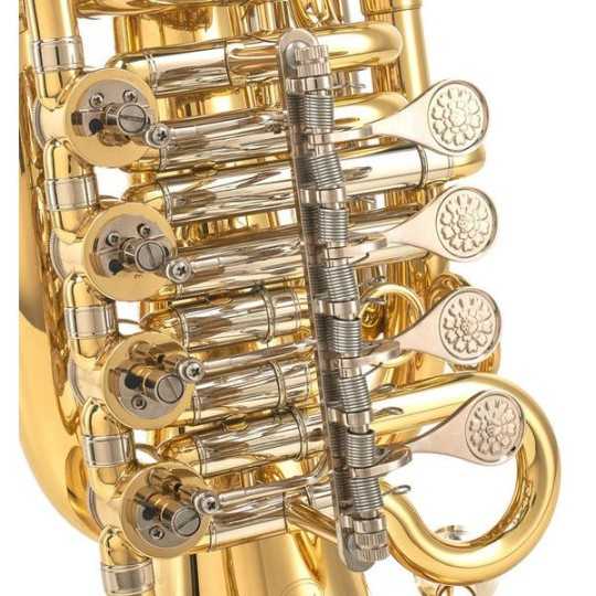 Bombardino de viaje ZO Little Dragon ZEU-800L Lacado