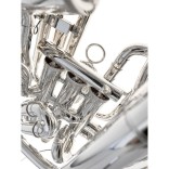 Bombardino en Sib ZO Compensado plateado