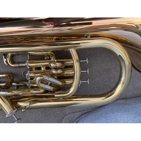 Bombardino Wessex Dolce Lacado OUTLET