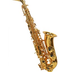 Saxo alto para estudiante lacado con estuche