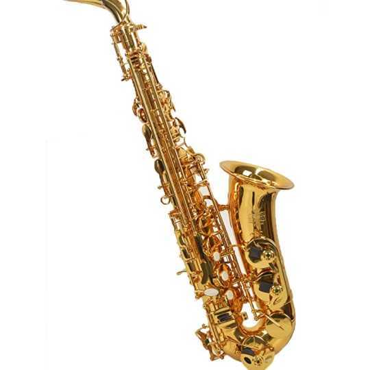 Saxo alto para estudiante lacado con estuche