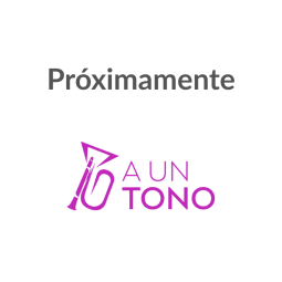 Violín 4/4 Giordano Envejecido